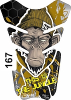 167.jpg